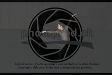 ref. photo 3623483