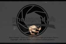 ref. photo 3623606