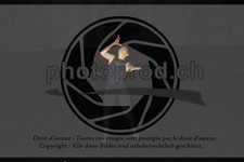 ref. photo 3623625