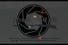 ref. photo 3623938