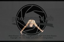 ref. photo 3624618