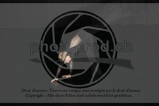 ref. photo 3624653