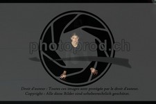 ref. photo 3624738