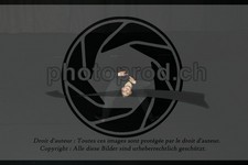 ref. photo 3624739