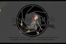 ref. photo 3626189