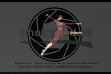 ref. photo 3626581