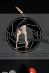 ref. photo 3627021