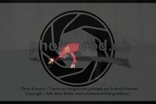 ref. photo 3627800