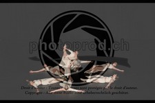 ref. photo 3628409