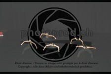 ref. photo 3628532
