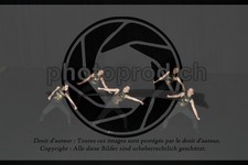 ref. photo 3628533