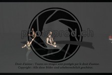 ref. photo 3628547