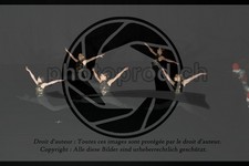 ref. photo 3628572