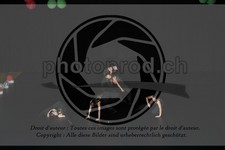 ref. photo 3628593