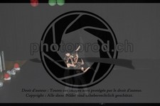 ref. photo 3628603