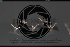 ref. photo 3628620