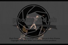 ref. photo 3628696