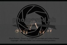 ref. photo 3628700