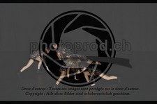 ref. photo 3628705