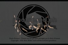 ref. photo 3628716