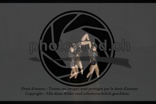 ref. photo 3628731