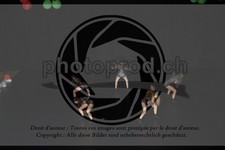 ref. photo 3628769