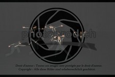 ref. photo 3628867