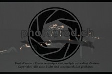 ref. photo 3628868