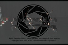 ref. photo 3628870