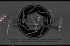ref. photo 3628893