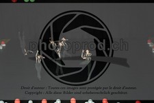 ref. photo 3628925