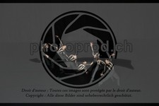 ref. photo 3628931