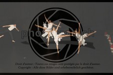 ref. photo 3629023