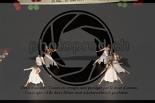 ref. photo 3629076