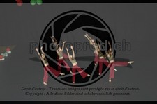 ref. photo 3629143