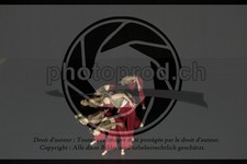 ref. photo 3629156