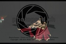 ref. photo 3629169