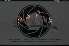 ref. photo 3629179