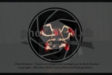 ref. photo 3629202