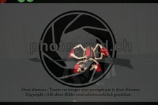 ref. photo 3629226