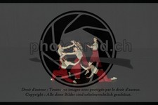 ref. photo 3629315