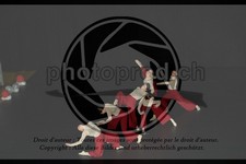 ref. photo 3629376