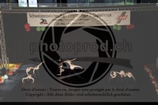 ref. photo 3629703