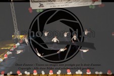 ref. photo 3629725