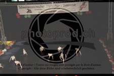 ref. photo 3629737