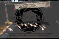 ref. photo 3629769