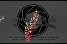 ref. photo 3629775