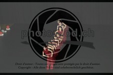 ref. photo 3629776