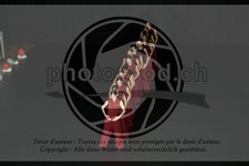 ref. photo 3629777