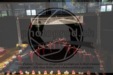 ref. photo 3629874